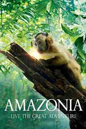  Amazonės džiunglės 